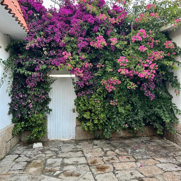 Villa Mar de Arosa - Villa de 1 dormitorio - 48