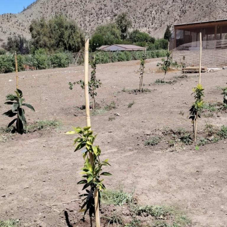 cabaña elquimilen - Apartamento de 3 dormitorios - 12