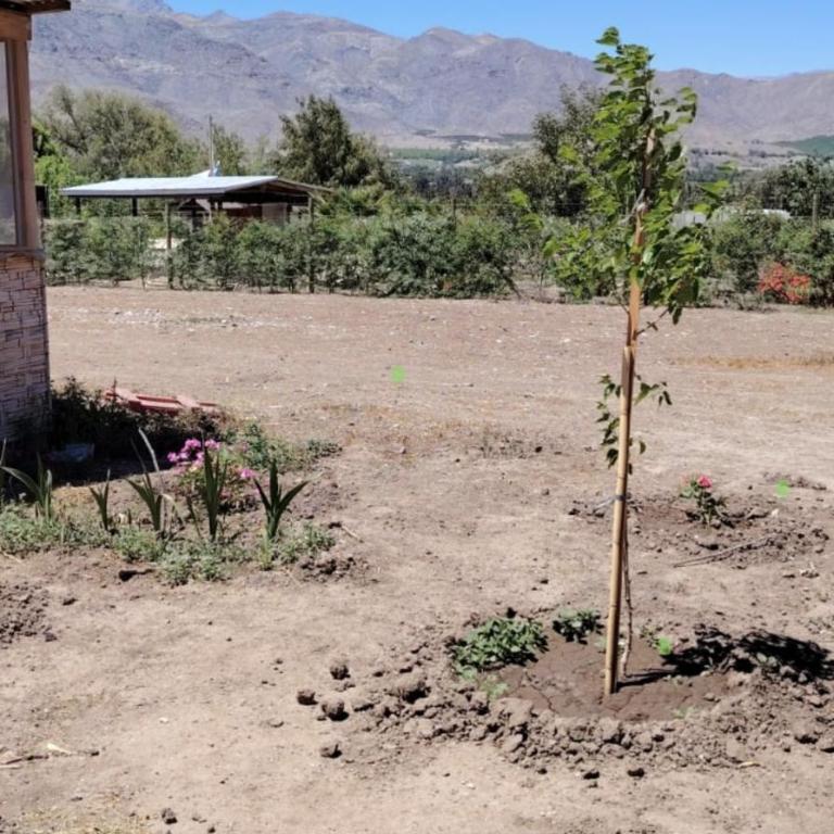 cabaña elquimilen - Apartamento de 3 dormitorios - 21