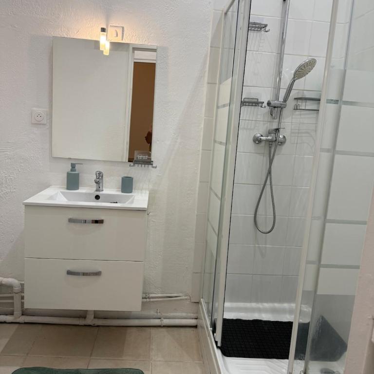 Spacieux T3 centre-ville 4 personnes - Appartement 1 Chambre - 5