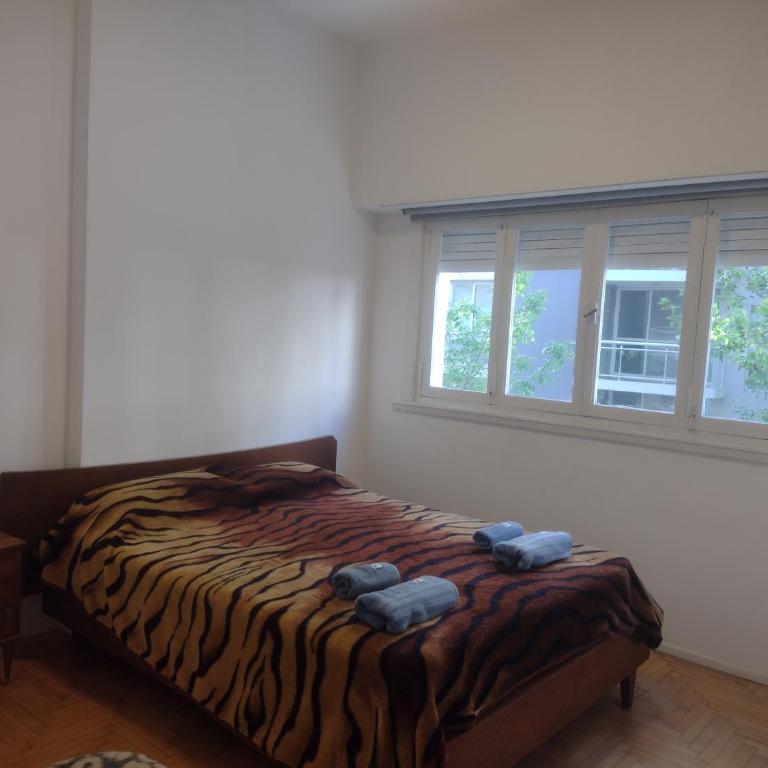 Departamento Brown - Standard Apartment - 25