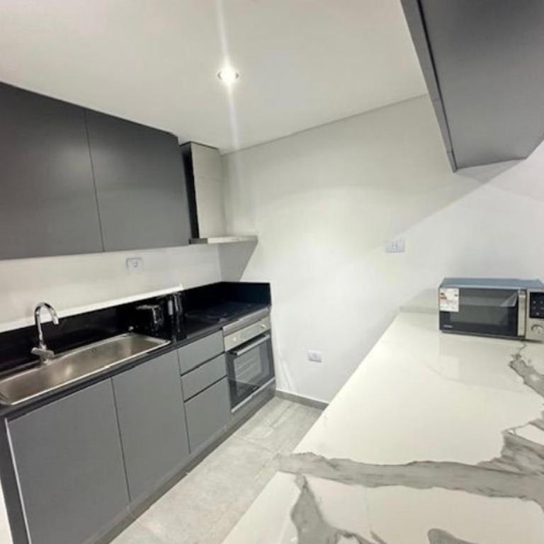 BolulevardPuertoMadero - Apartamento de 1 dormitorio - 4