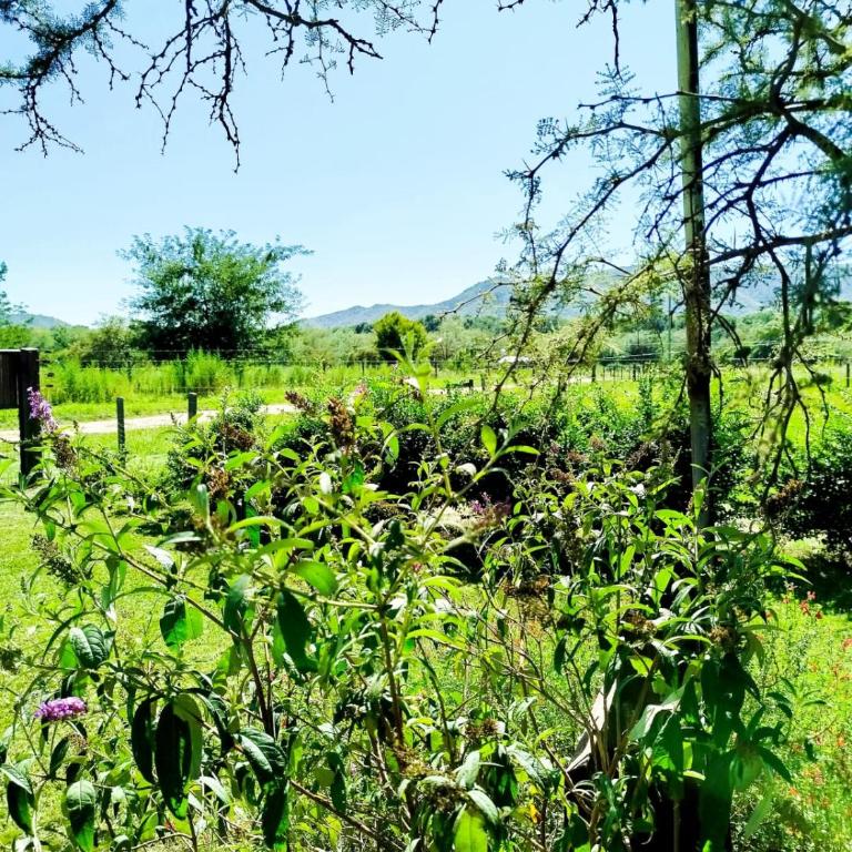 Ensueños Cabañas Familiares - Casa con 1 dormitorio - 5