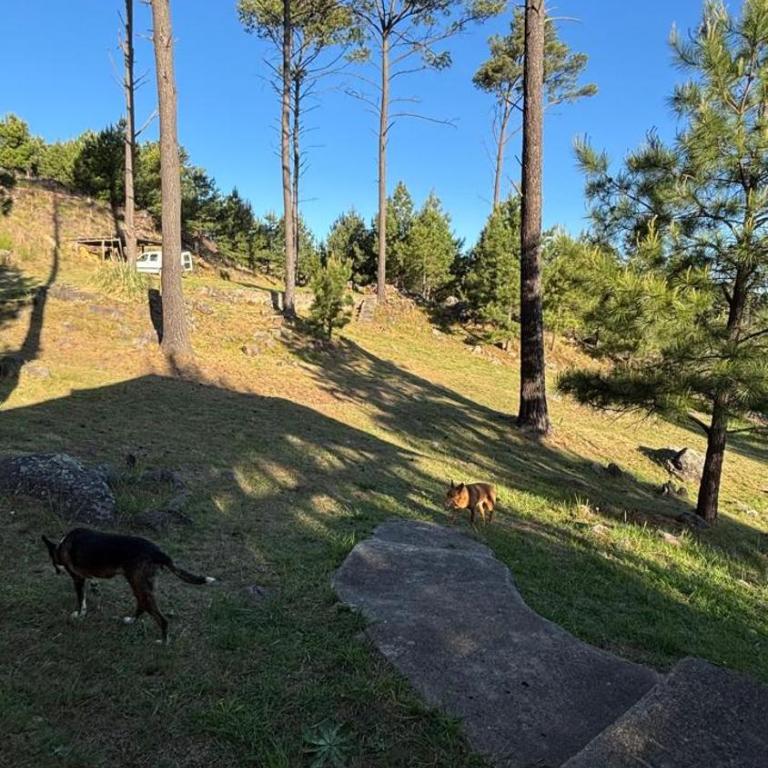 Cabaña de montaña con pileta en hermoso predio - One-Bedroom Chalet - 14