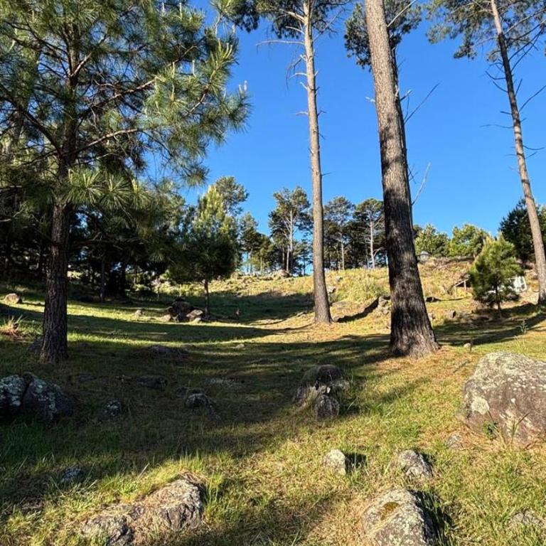 Cabaña de montaña con pileta en hermoso predio - One-Bedroom Chalet - 18