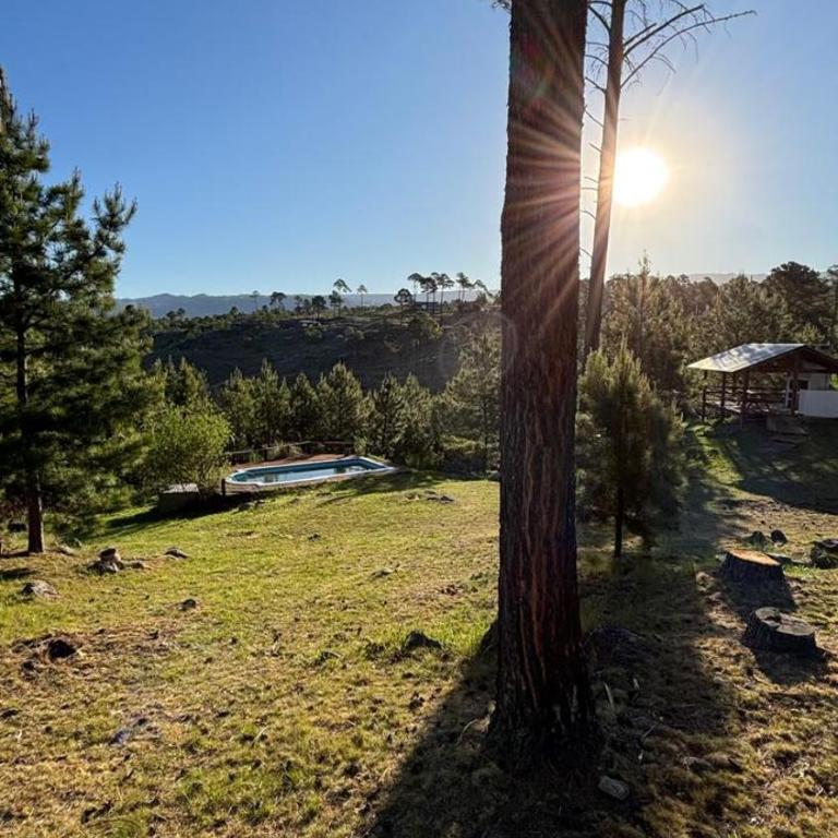 Cabaña de montaña con pileta en hermoso predio - One-Bedroom Chalet - 19