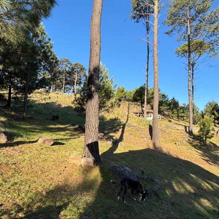 Cabaña de montaña con pileta en hermoso predio - One-Bedroom Chalet - 20
