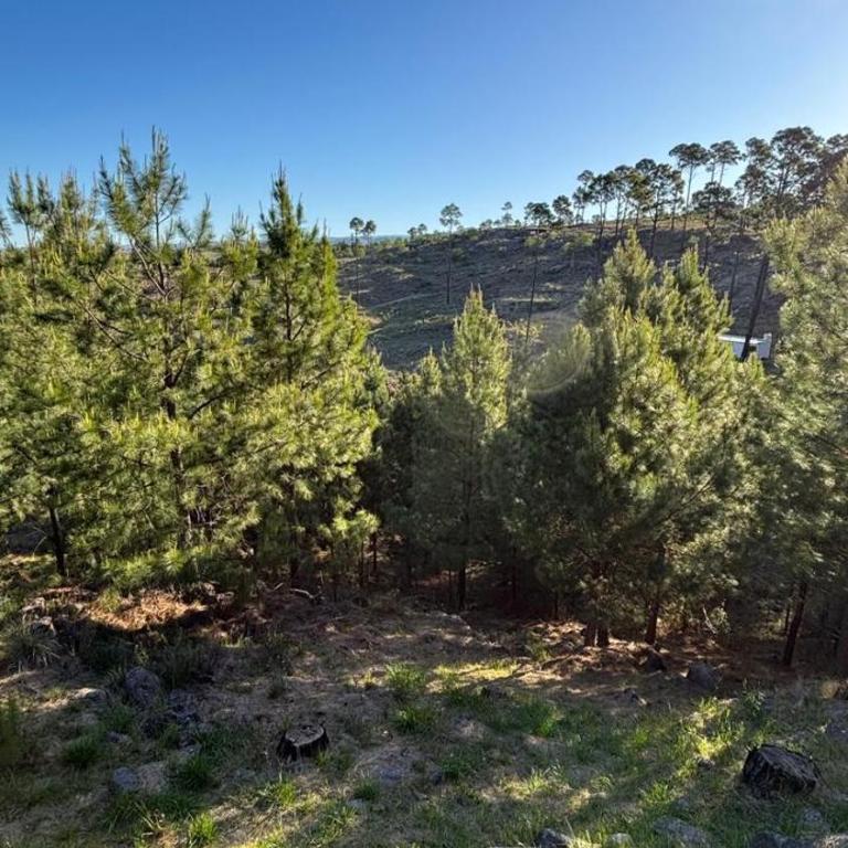 Cabaña de montaña con pileta en hermoso predio - One-Bedroom Chalet - 22