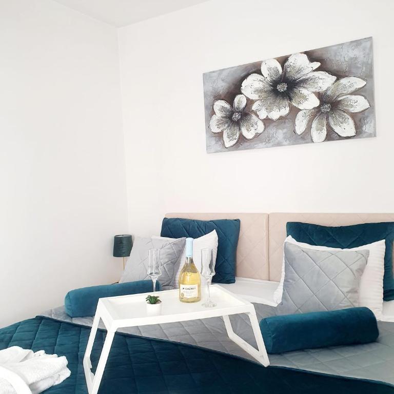 Wing Apartman Jagodina - Apartman sa 1 Spavaćom Sobom - 14