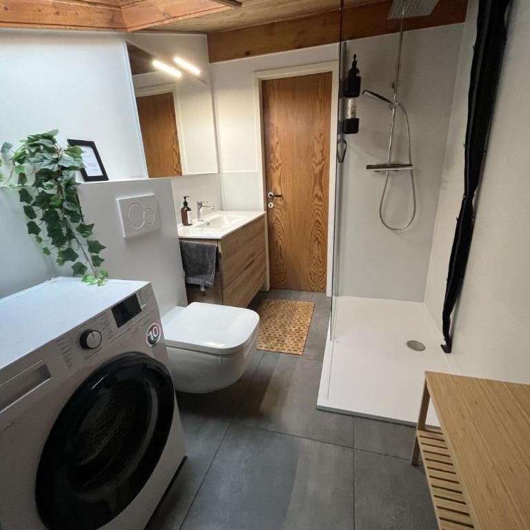 Alpendomizil Apfel - Apartment mit 2 Schlafzimmern - 9