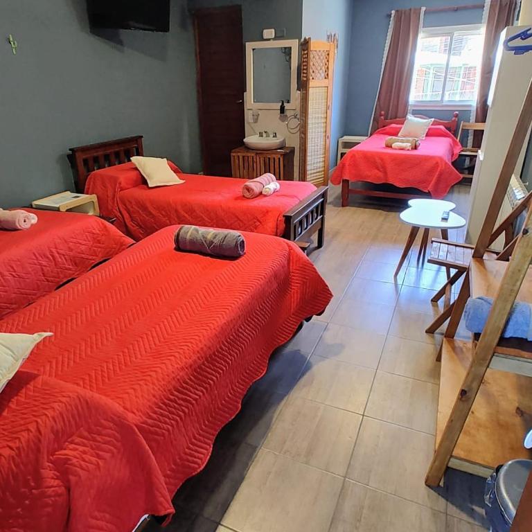 Raíces Hospedaje - Habitación cuádruple - 3