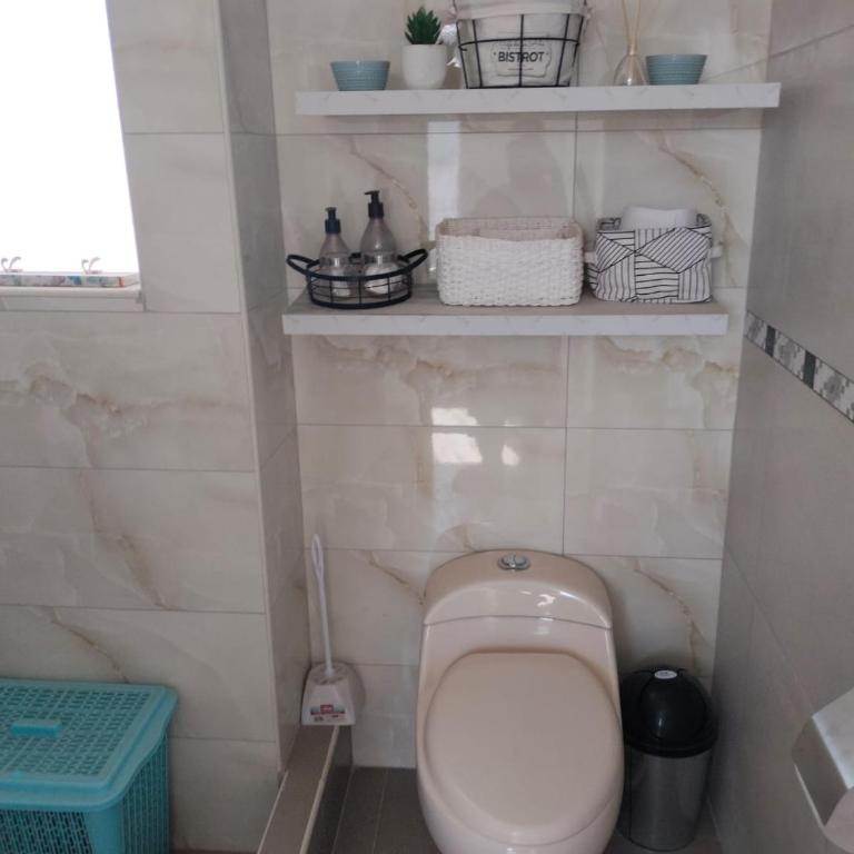 Apartamento - One-Bedroom Apartment - 1