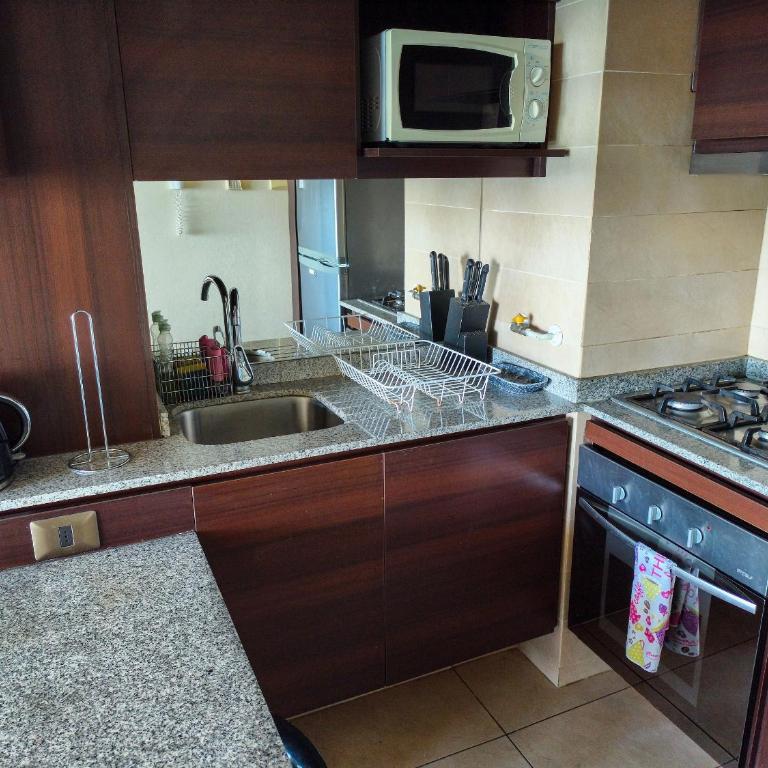Geomar Beautiful Ocean View Apartment in Concón - Apartment with Sea View - 50