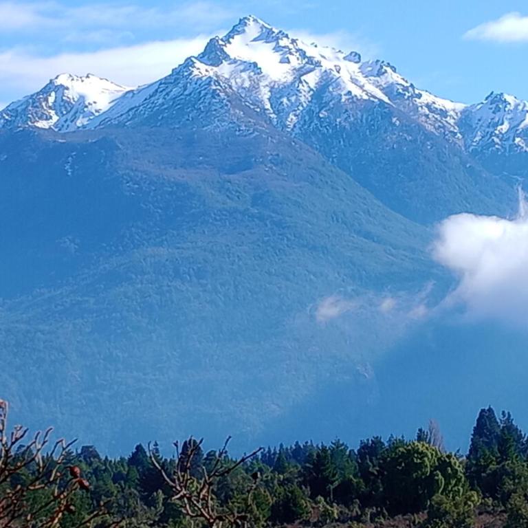 Cabaña La Delfina - Chalet de 2 dormitorios - 8