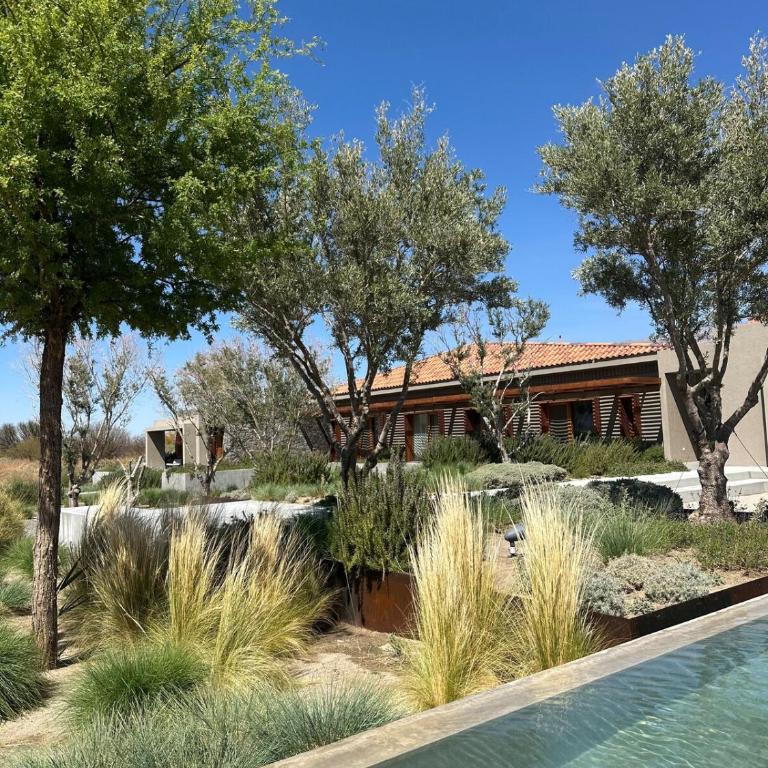 Contemporary design and serenity in Cafayate - Casa de 4 dormitorios - 13