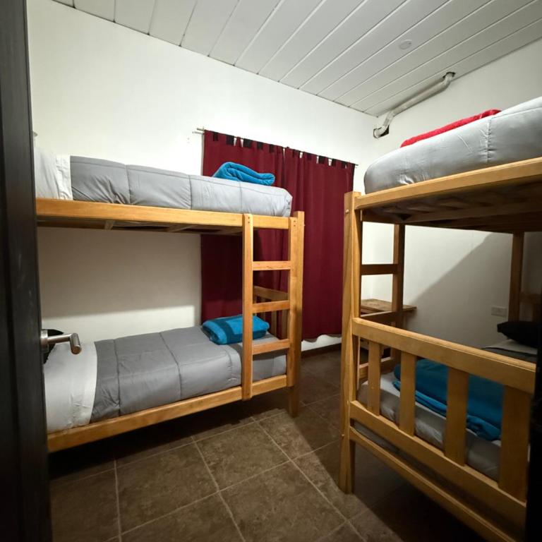 Hostel Mapu Paigue - 4-Bed Mixed Dormitory Room - 3