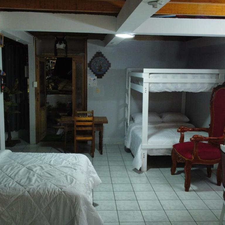 Aracari Inn Mindo - Superior Studio - 23