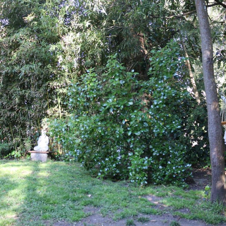 Cabañas Los Huarpes ,Bosque Peralta Ramos - Casa de 2 dormitorios - 4