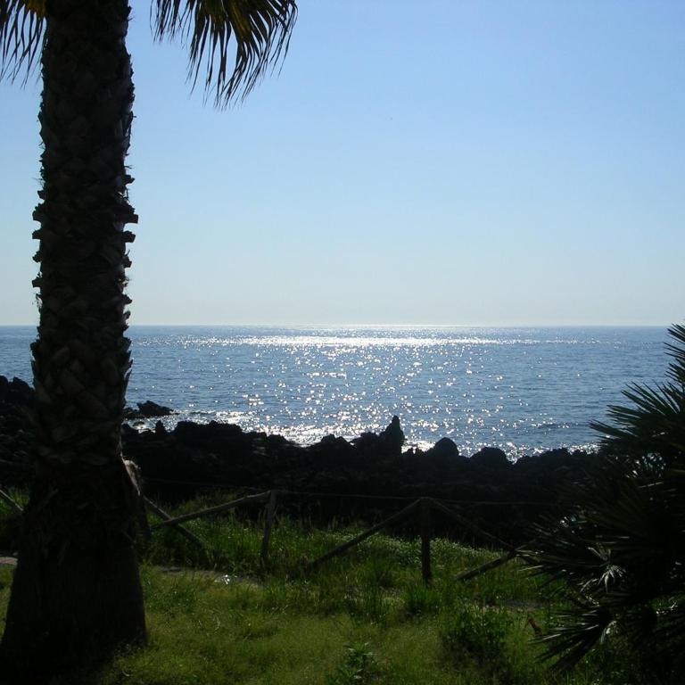 Casa Limoni - Rifugio Siciliano tra Mare, Etna e Taormina - Appartamento Standard - 52