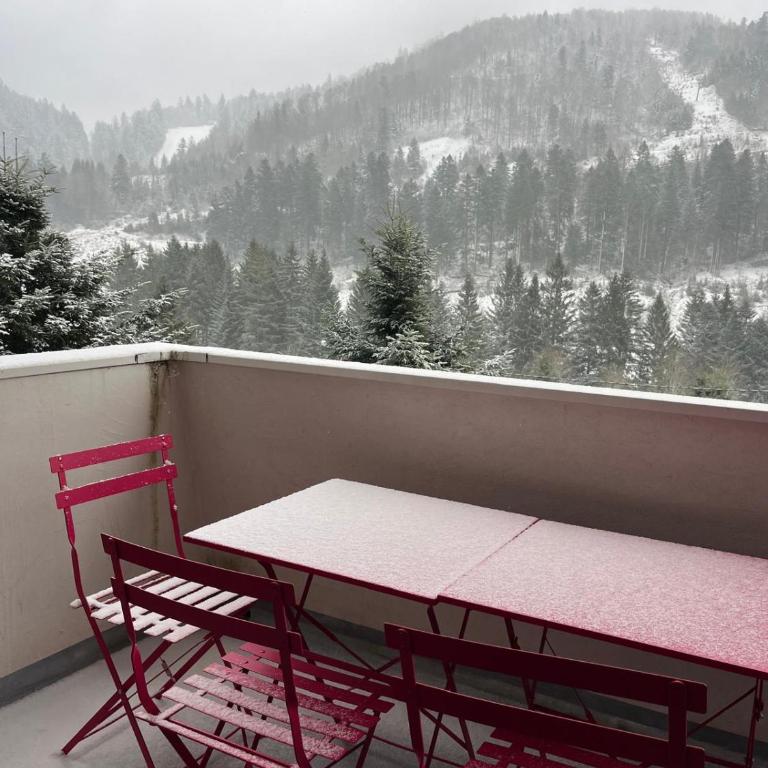 Studio des Quiches Lorraines - Appartement 1 Chambre - 18