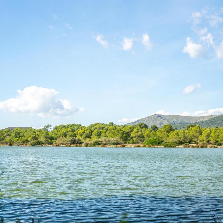 Ideal Property Mallorca - Eden Lago - Casa - 34