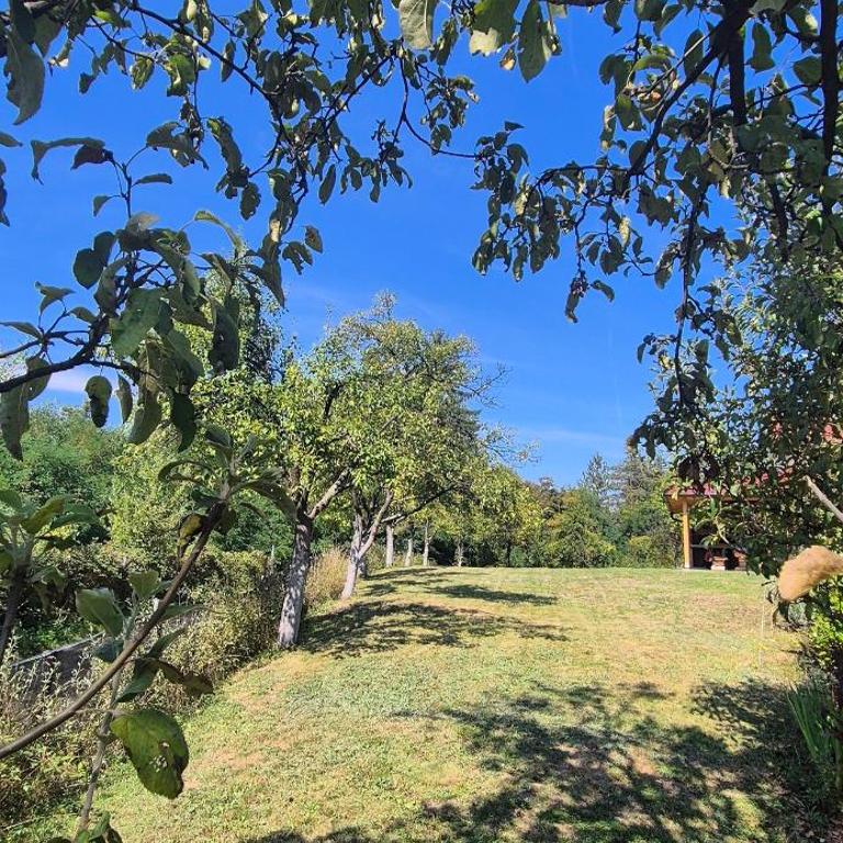 Dream weekend house - Kuća sa 1 Spavaćom Sobom - 23