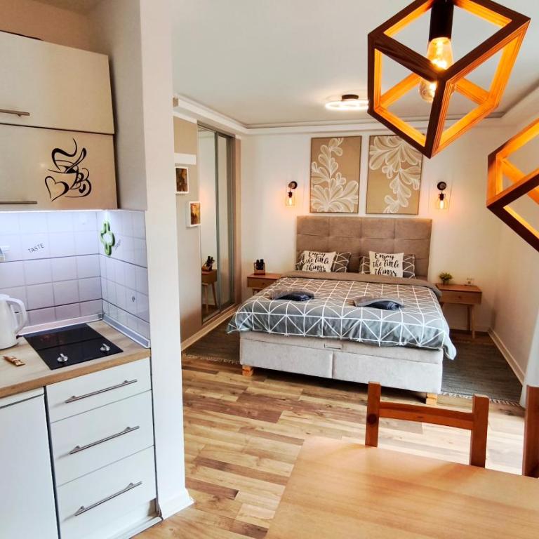 Studio apartman ENJOY Divčibare - Deluks Studio sa Bračnim Krevetom (King-size) - 5