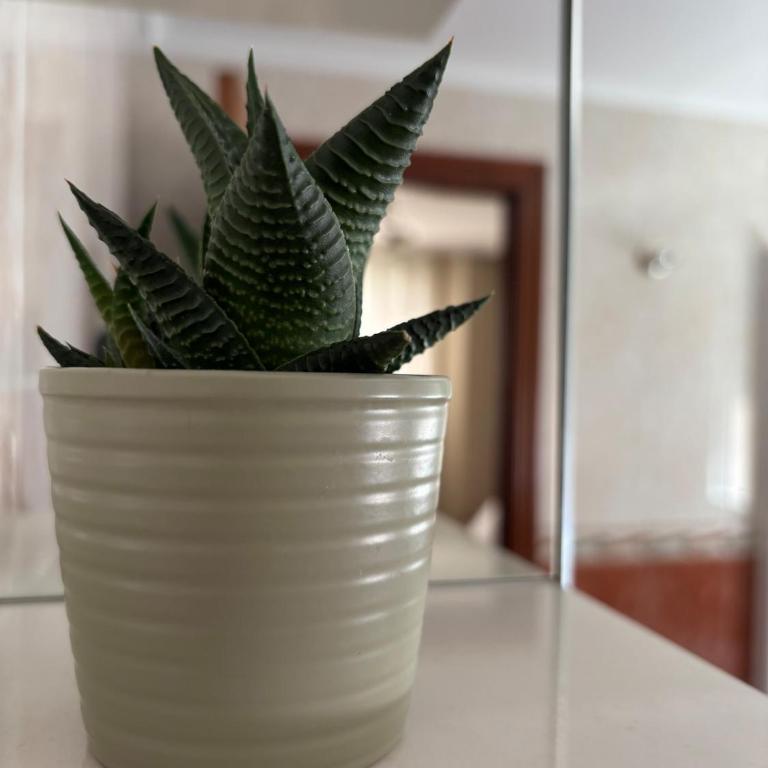 Alojamiento Completo en Gijón - Apartamento de 2 dormitorios - 29