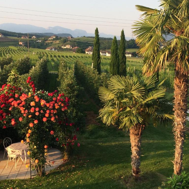 Villa Raifer - Appartamento - 5