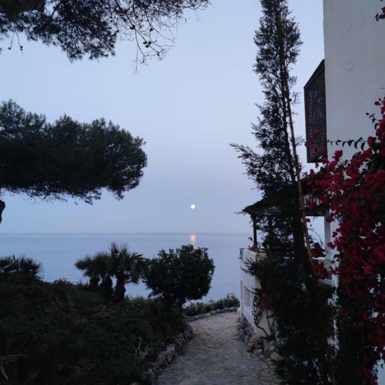 Dreamy sunrise at Marina Playa - Deluxe Apartment - 8