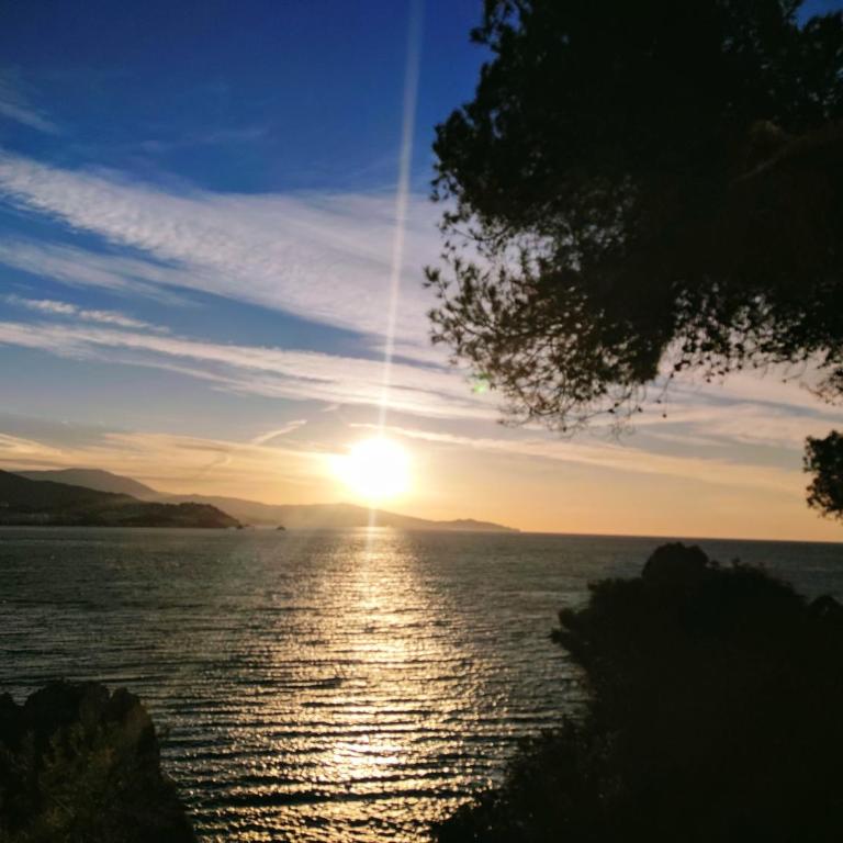 Dreamy sunrise at Marina Playa - Deluxe Apartment - 11