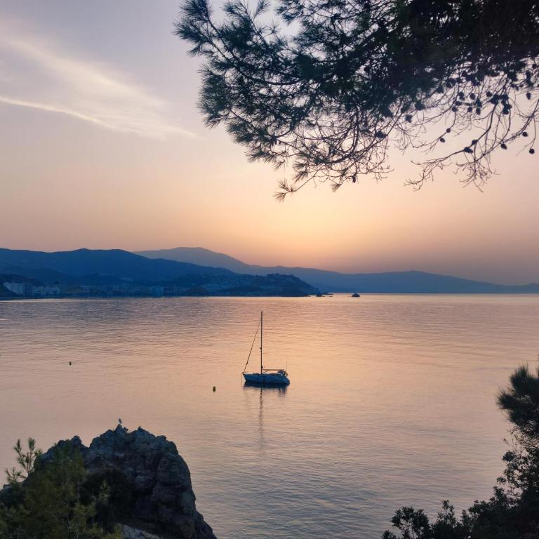 Dreamy sunrise at Marina Playa - Deluxe Apartment - 7