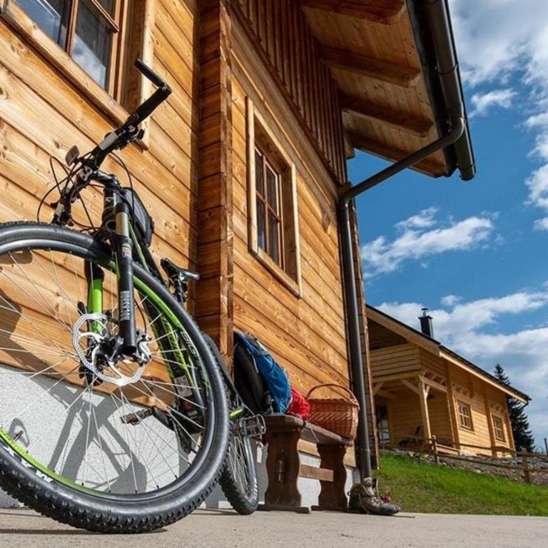 Kernmayerhütte - Chalet mit 3 Schlafzimmern - 14