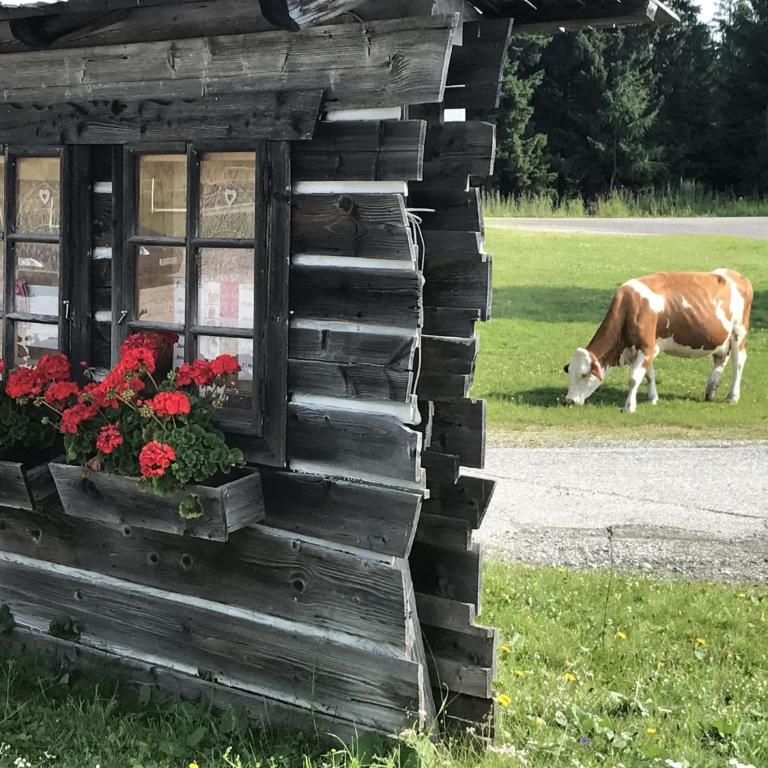 Kernmayerhütte - Chalet mit 3 Schlafzimmern - 18
