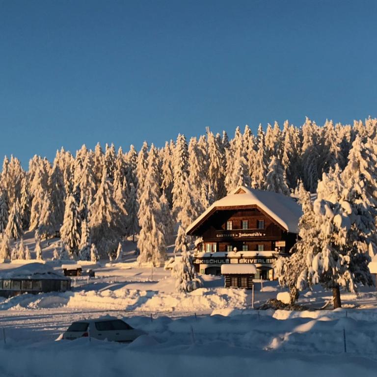 Kernmayerhütte - Chalet mit 3 Schlafzimmern - 29