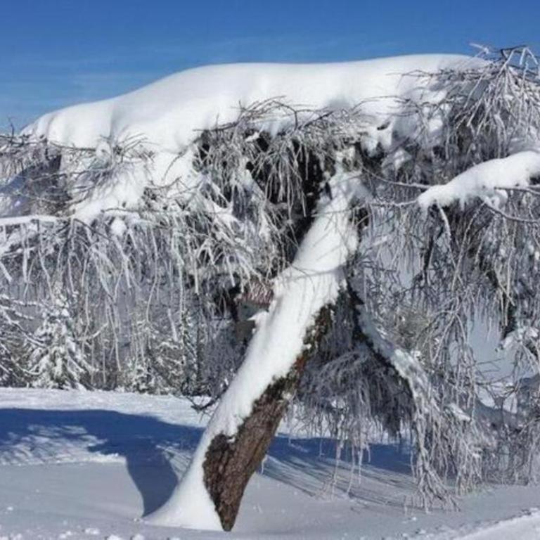 Kernmayerhütte - Chalet mit 3 Schlafzimmern - 36
