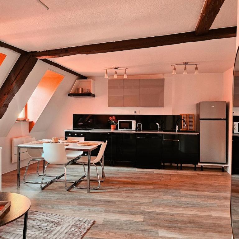 Joli T2 centre historique de Mulhouse - Appartamento con 1 Camera da Letto - 2