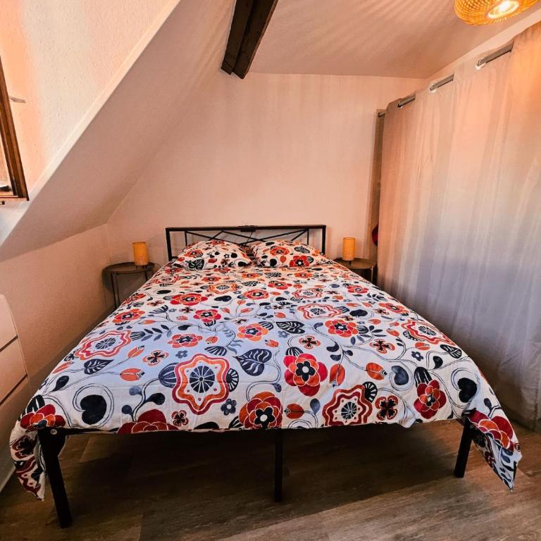 Joli T2 centre historique de Mulhouse - Appartamento con 1 Camera da Letto - 4