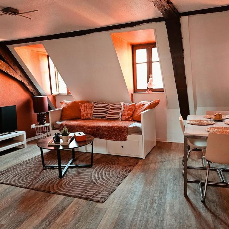 Joli T2 centre historique de Mulhouse - Appartamento con 1 Camera da Letto - 6