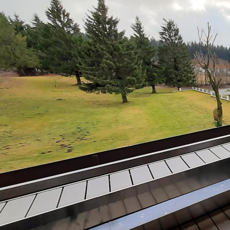 Ferienwohnung Berghof 434 - Apartment mit Balkon - 21