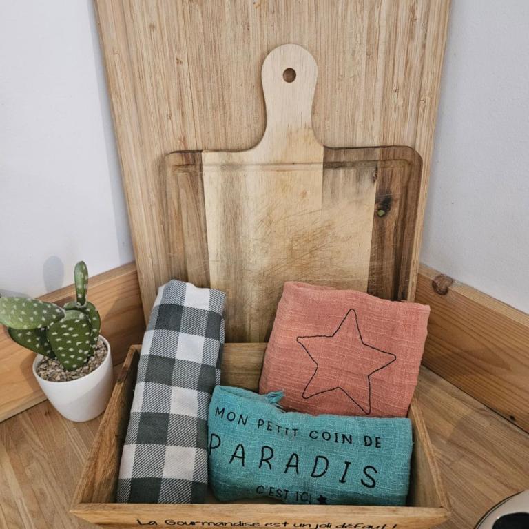 Joli T2 climatisé bord de mer tout équipé - Apartment mit 1 Schlafzimmer - 13
