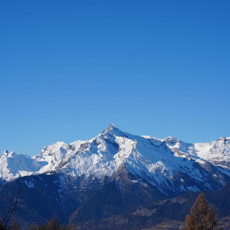 Chalet Rossier Mayens de Sion aux 4 Vallées - Chalet - 36