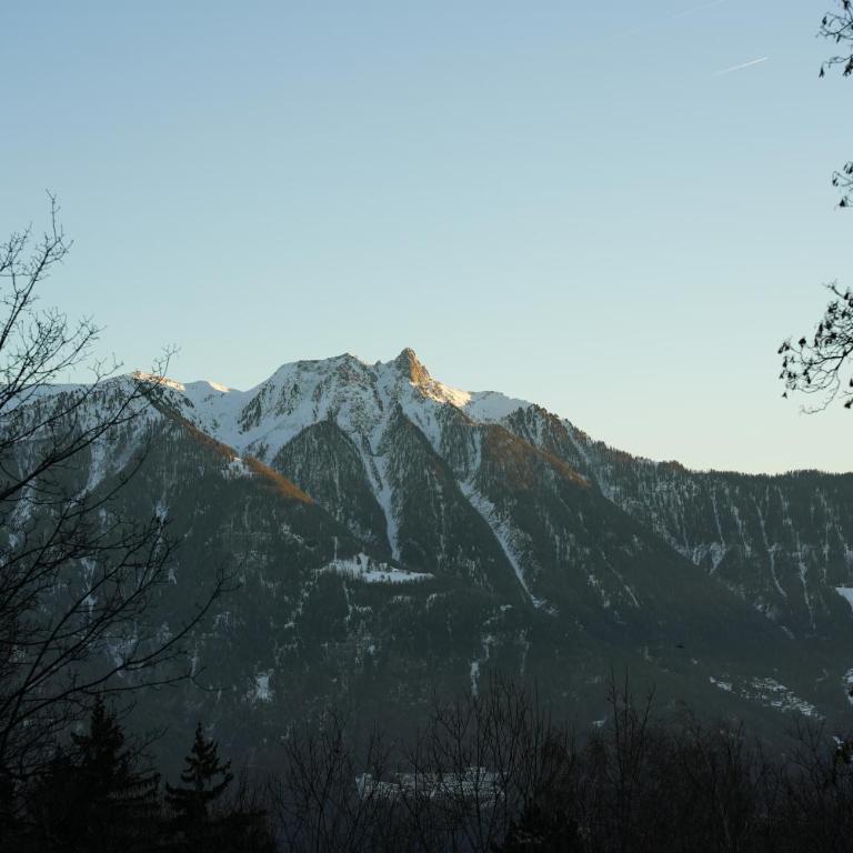 Chalet La Marendaz - Chalet - 24
