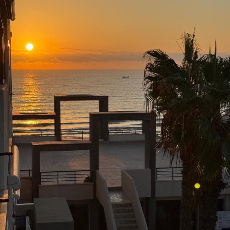 Torrevieja La Mata Primera línea playa - Apartamento con terraza y vistas parciales al mar - 49