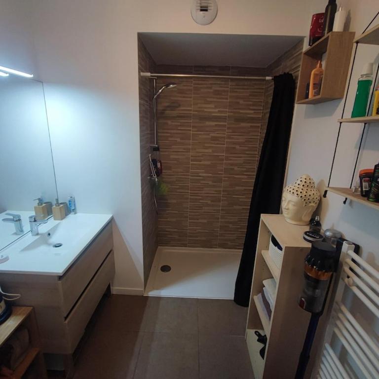 appartement lit 1 personne avec matelas d'appoint 1 personne - Appartement 1 Chambre - 12