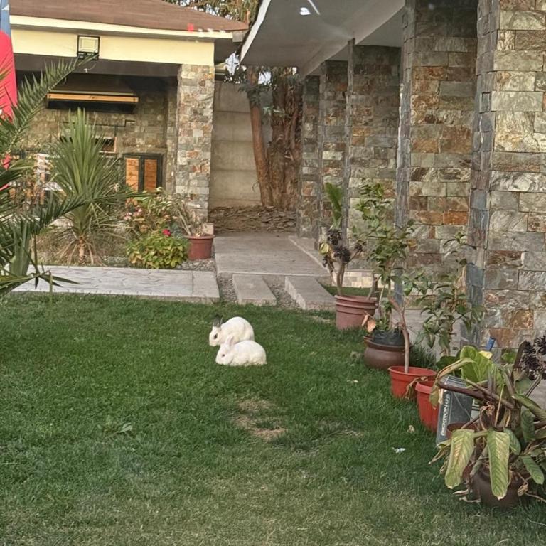 Spa la casona de pirque - Casa de 2 dormitorios - 20