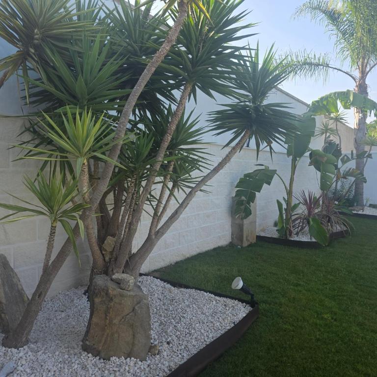 La caprichosa - Villa con piscina privada - 68