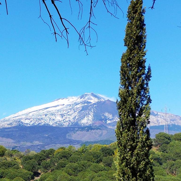 Casetta sull’Etna - Chalet con 2 Camere da Letto - 53