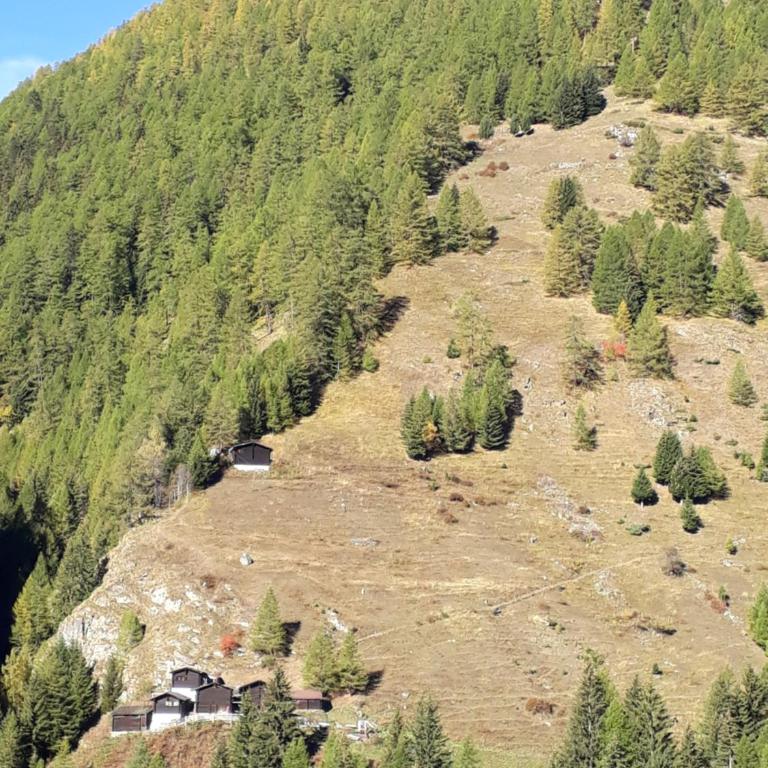 Saflischgarten - Chalet mit 1 Schlafzimmer - 1