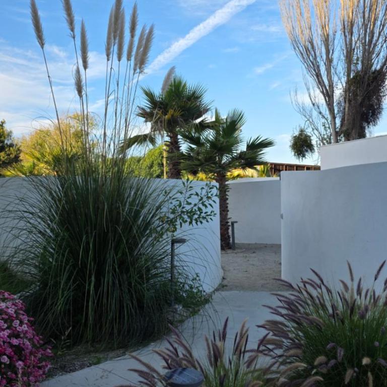 Distrito Verde La Serena - Apartamento de 1 dormitorio - 27